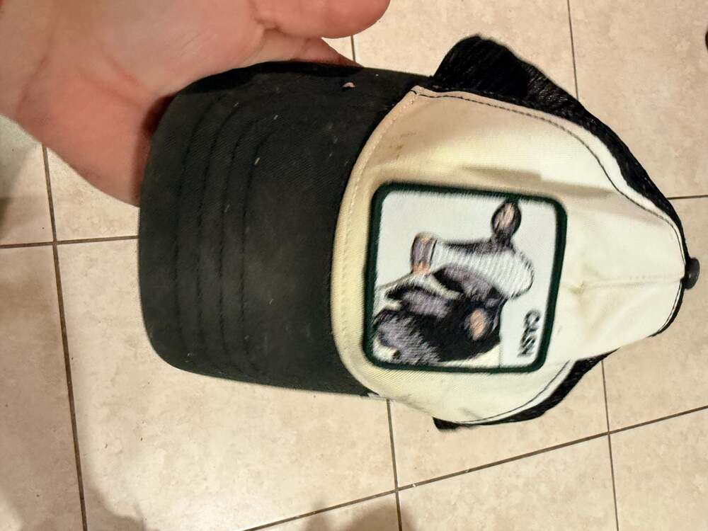 Goorin Bros Animal Farm 'Cash' Cow Trucker Hat